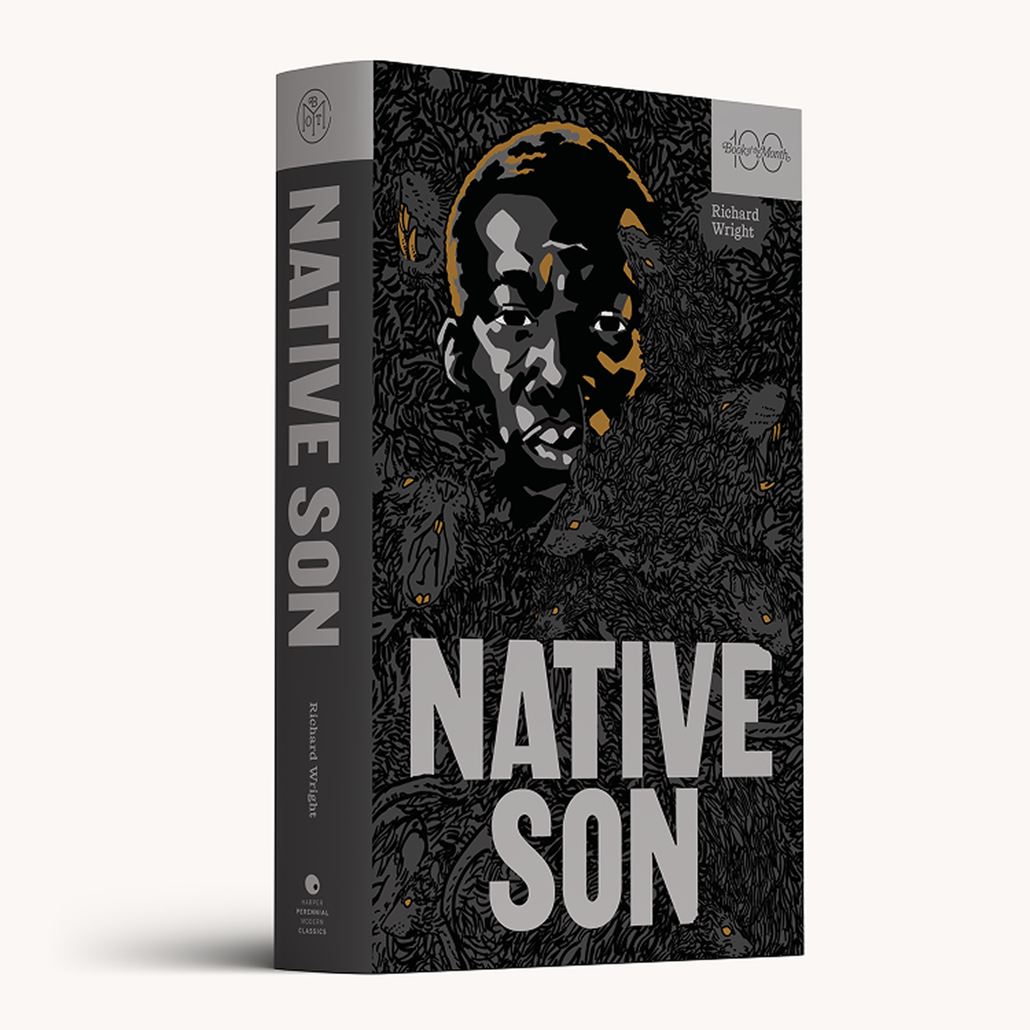 image of Native Son