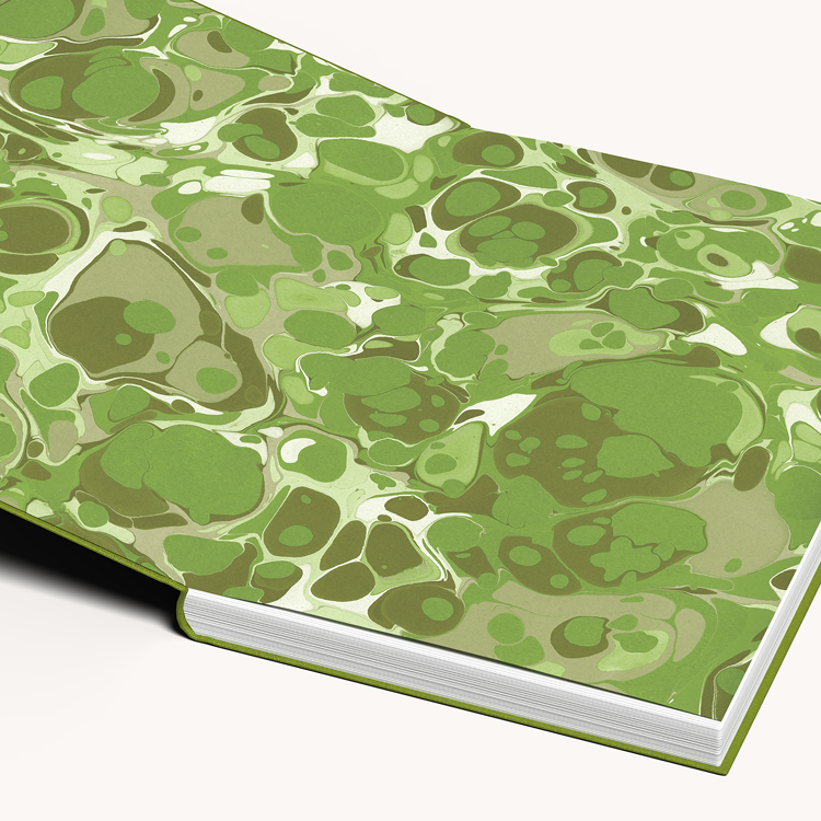 image of All Quiet on the Western Front