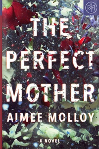 The Perfect Mother by Aimee Molloy