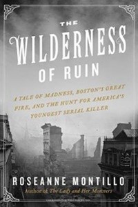 The Wilderness of Ruin